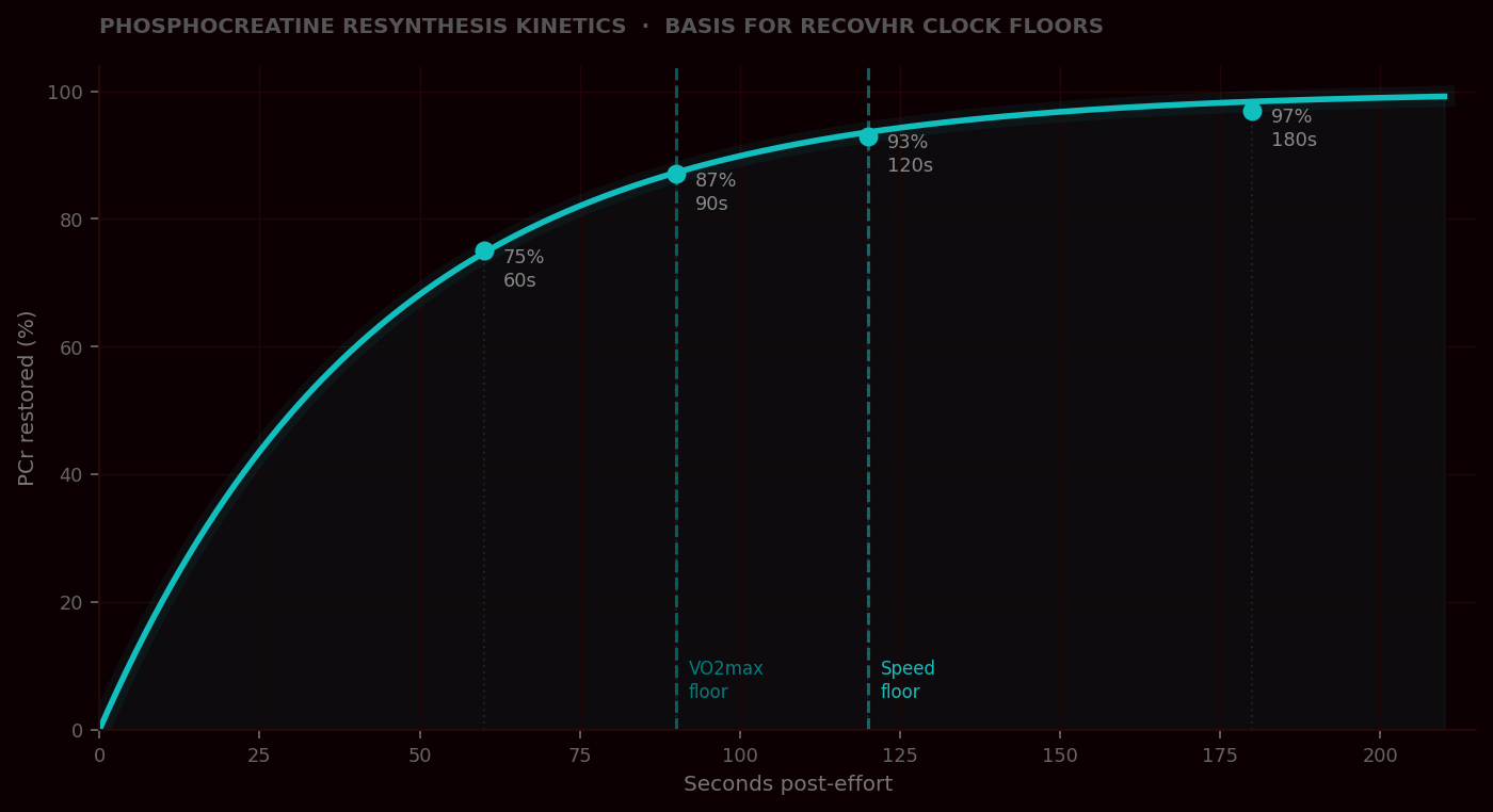 Phosphocreatine resynthesis kinetics